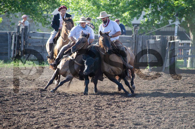 Photo of xuqmeh12yhuo81qwp3isw43x