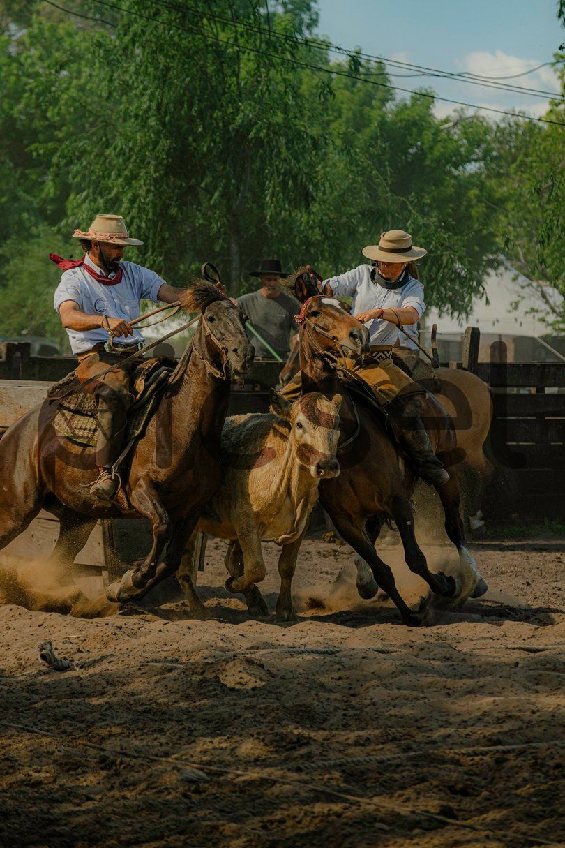 Photo of jtnbahe0p53kv8ppgdvlzs43