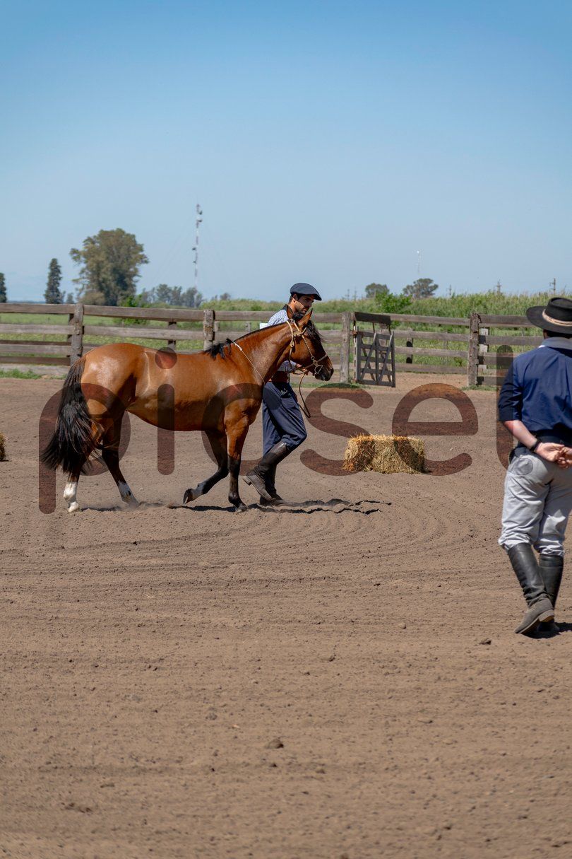 Photo of dz4220mbhsjdw1tcit9ydenh