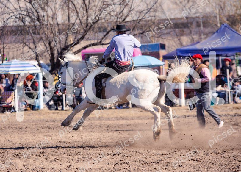 Photo of e1xxz8q4xktdqxhhmmcwnrr2