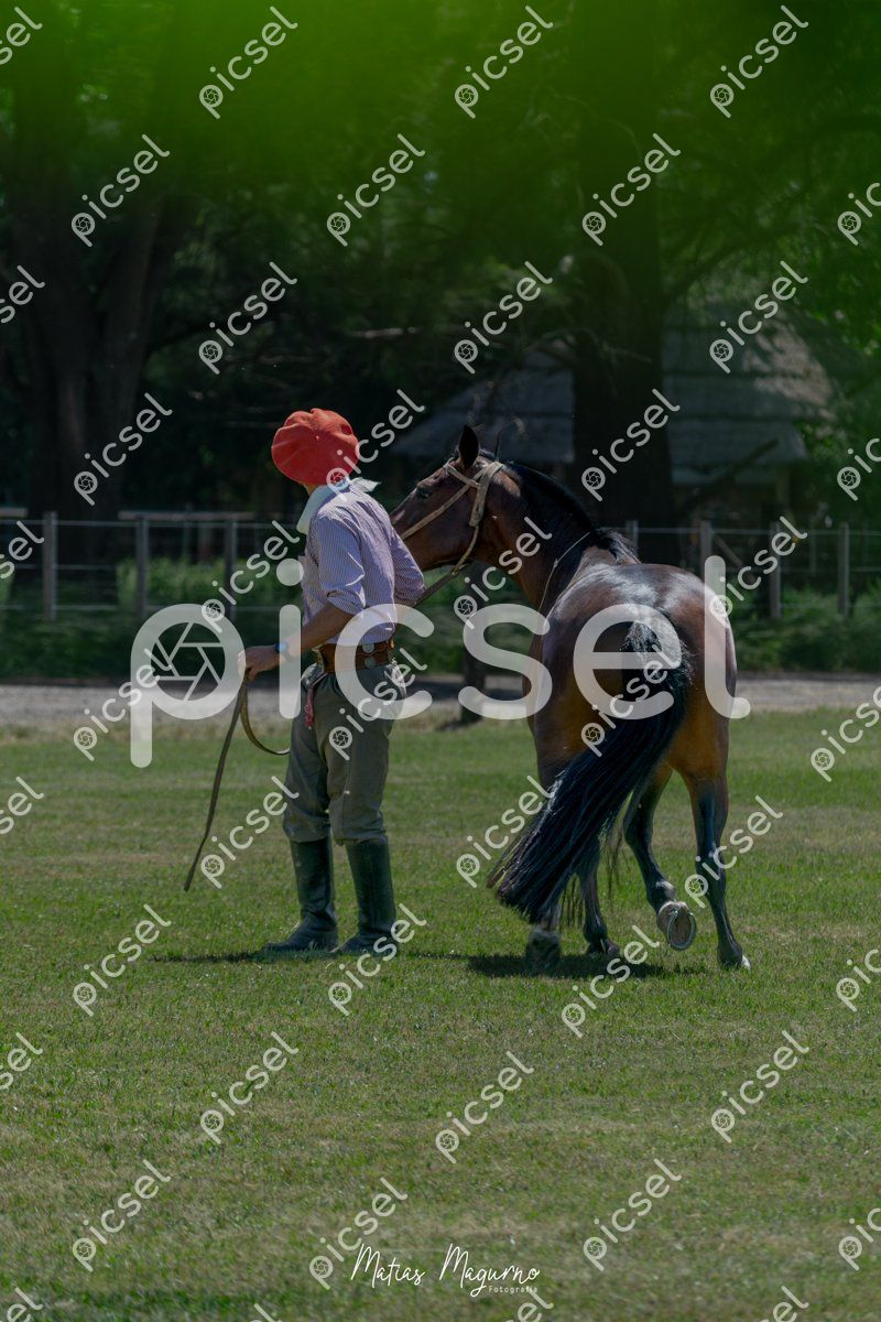 Photo of f2ya8o3rye1qsimbnx12ndub