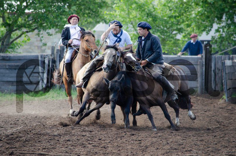 Photo of i7gwvr3q1imihrns4r7a9uae