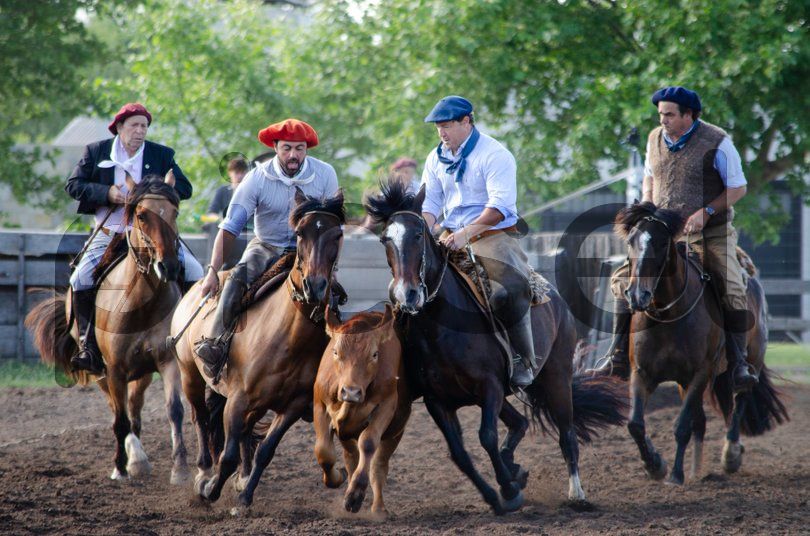 Photo of gmtil51oaa347mv96nallsl8