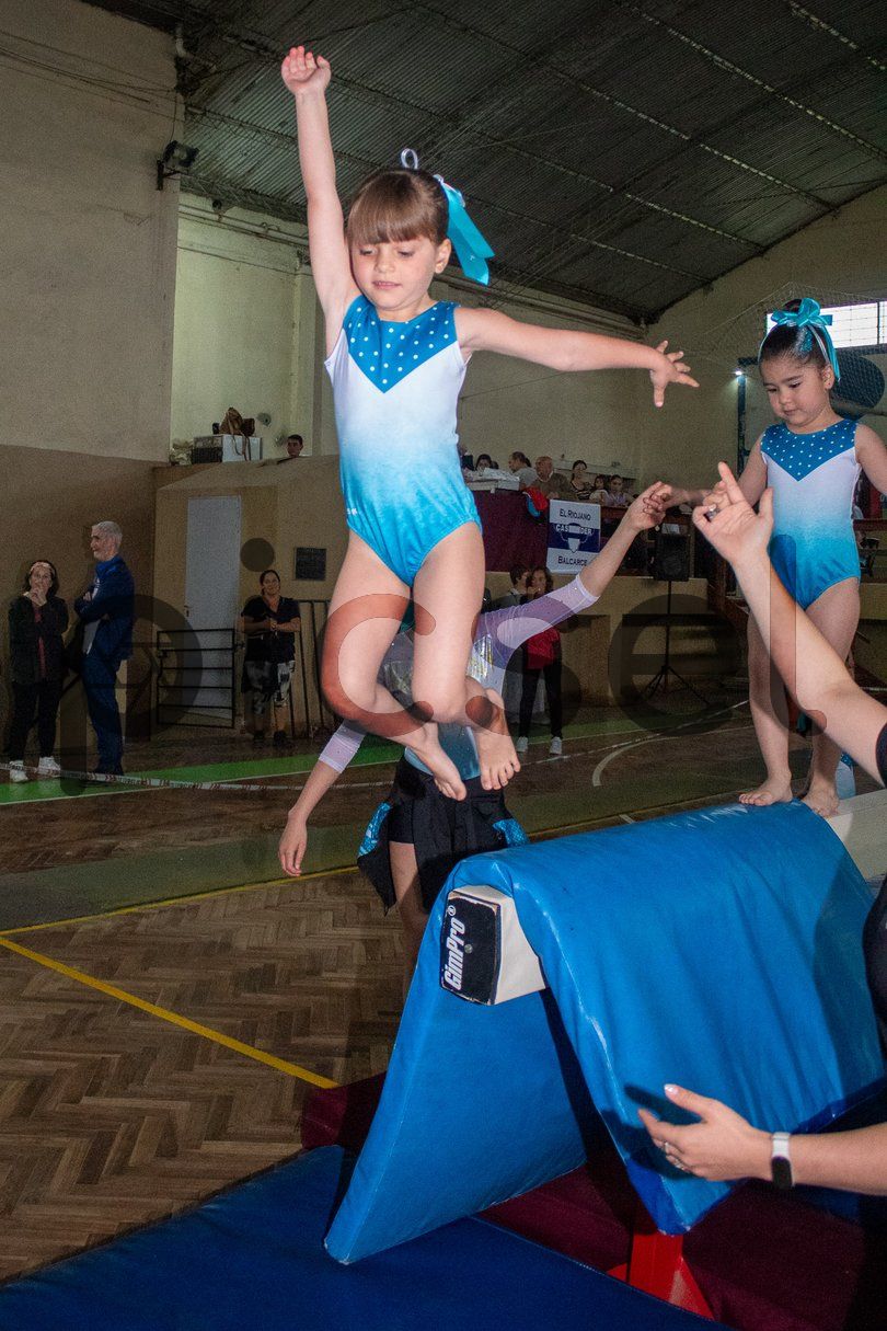 Photo of m8ihxihqb8y1r15geumzs1vd