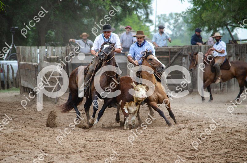 Photo of b1jf50o2s85yjsa611sbesw1