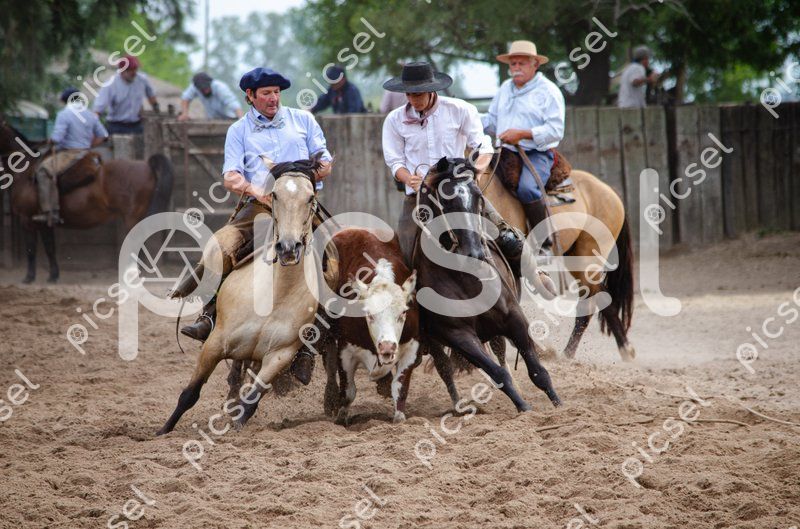 Photo of km0a2llbb6okc0kcq9e6rhnu