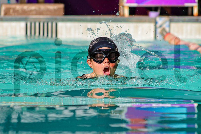 Photo of sylhusf2ukrvc4u1haslq133