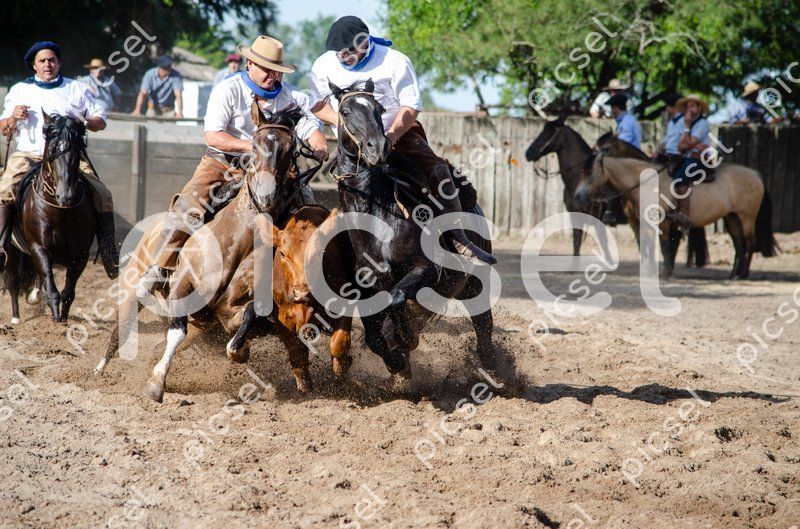 Photo of jgpe7rj3t4r7d7xt4zc8tv4h