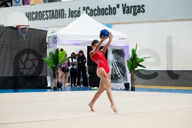 Photo of xd4zhpuco1yfvfoo73tf1fht