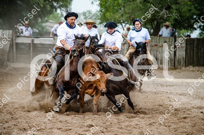 Photo of a4nlmqnwx57z39gc5jo5hc61