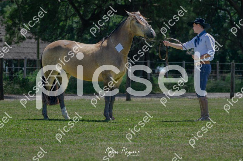 Photo of d1bh8mth6apuy2kiqv63yj2v