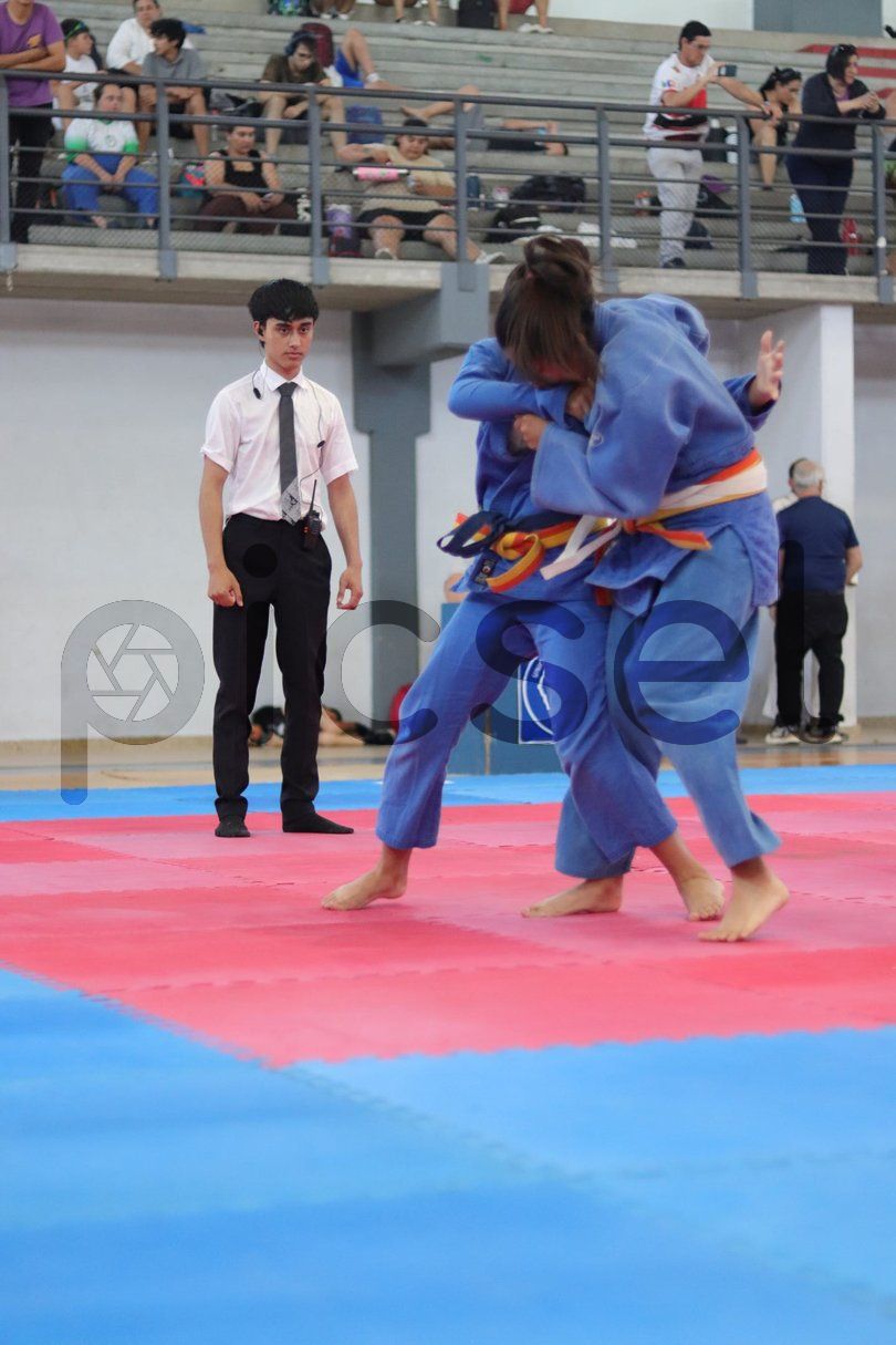 Photo of zw3m4m6gmx2vs593aq9sr2ak