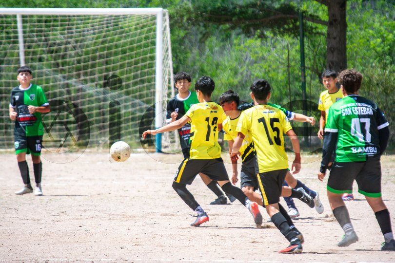 Photo of ya3n5sb8nkc57z2z52l8rfdi