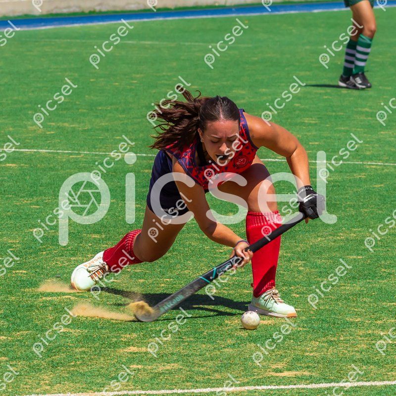 Photo of ng6zp2b4z537391hzu5p1koq