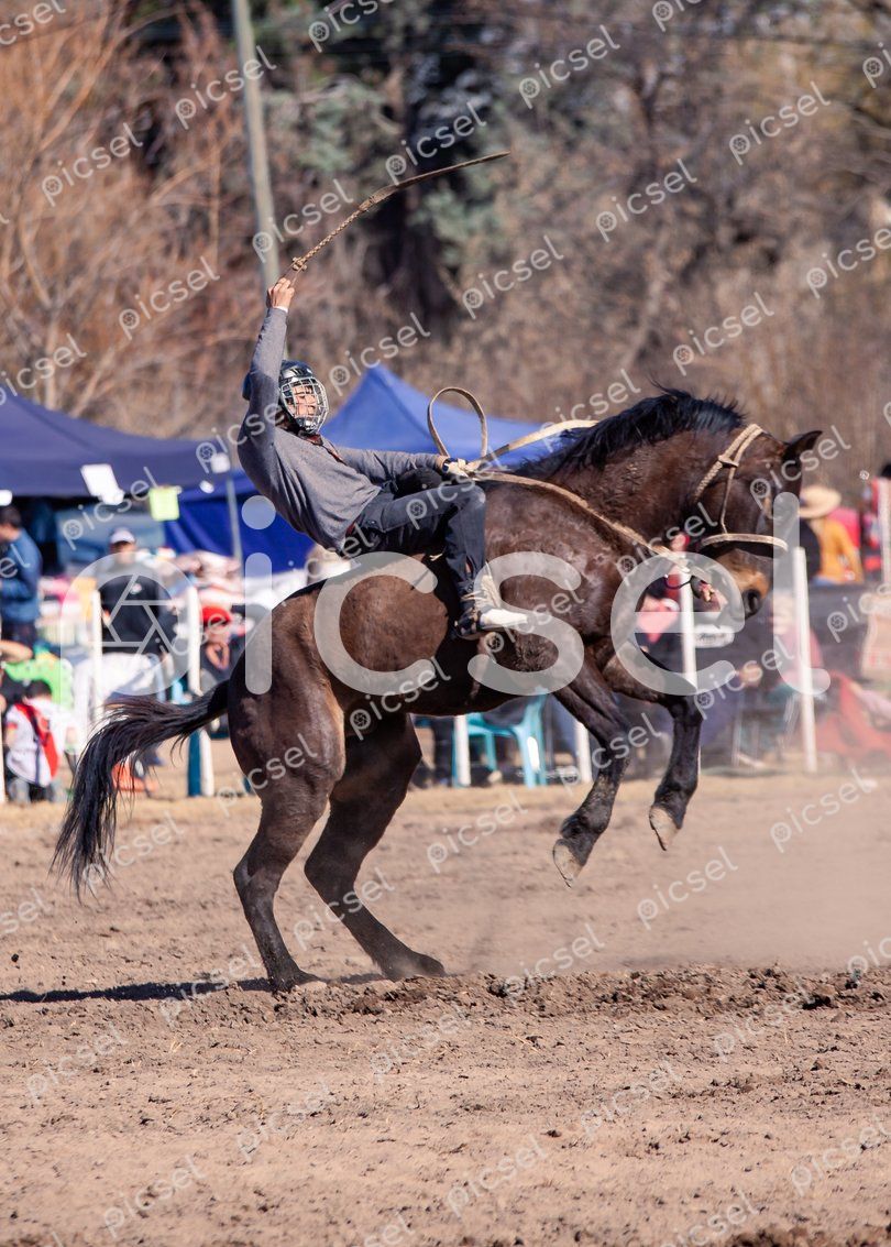 Photo of lebsroyjdq3x31cmyutduydq