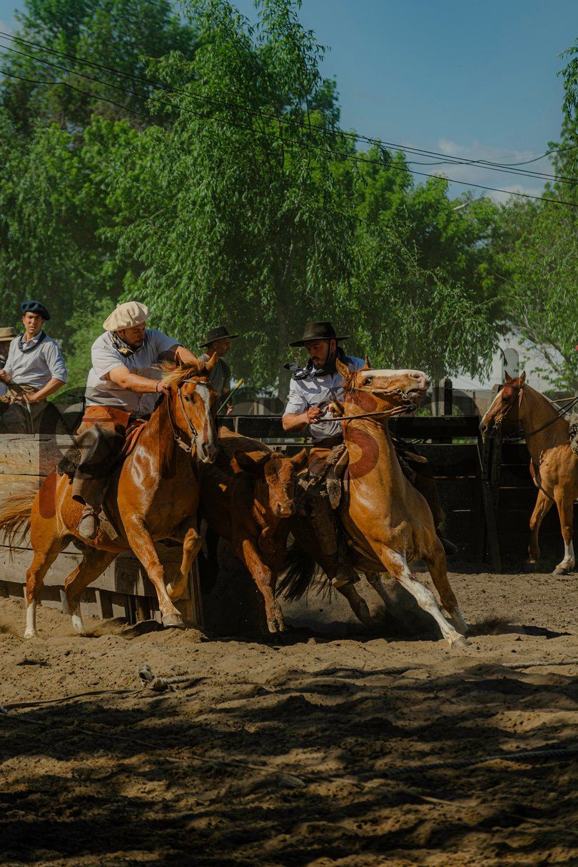 Photo of hvp6yna8tjpz5457bcm4ob59