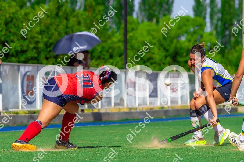 Photo of s64x558gsunewnnm3rnzn1j0