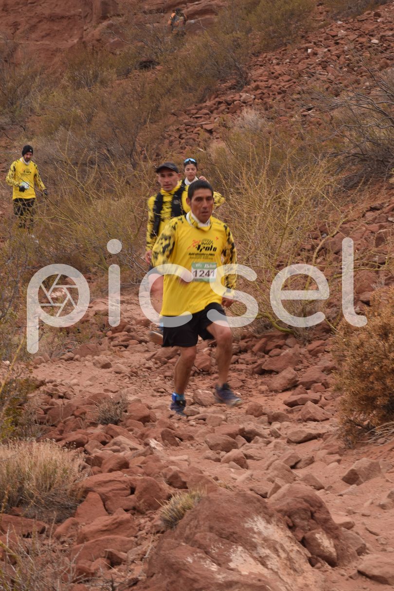 Photo of pv3biuf96h6zaolgioljts3k