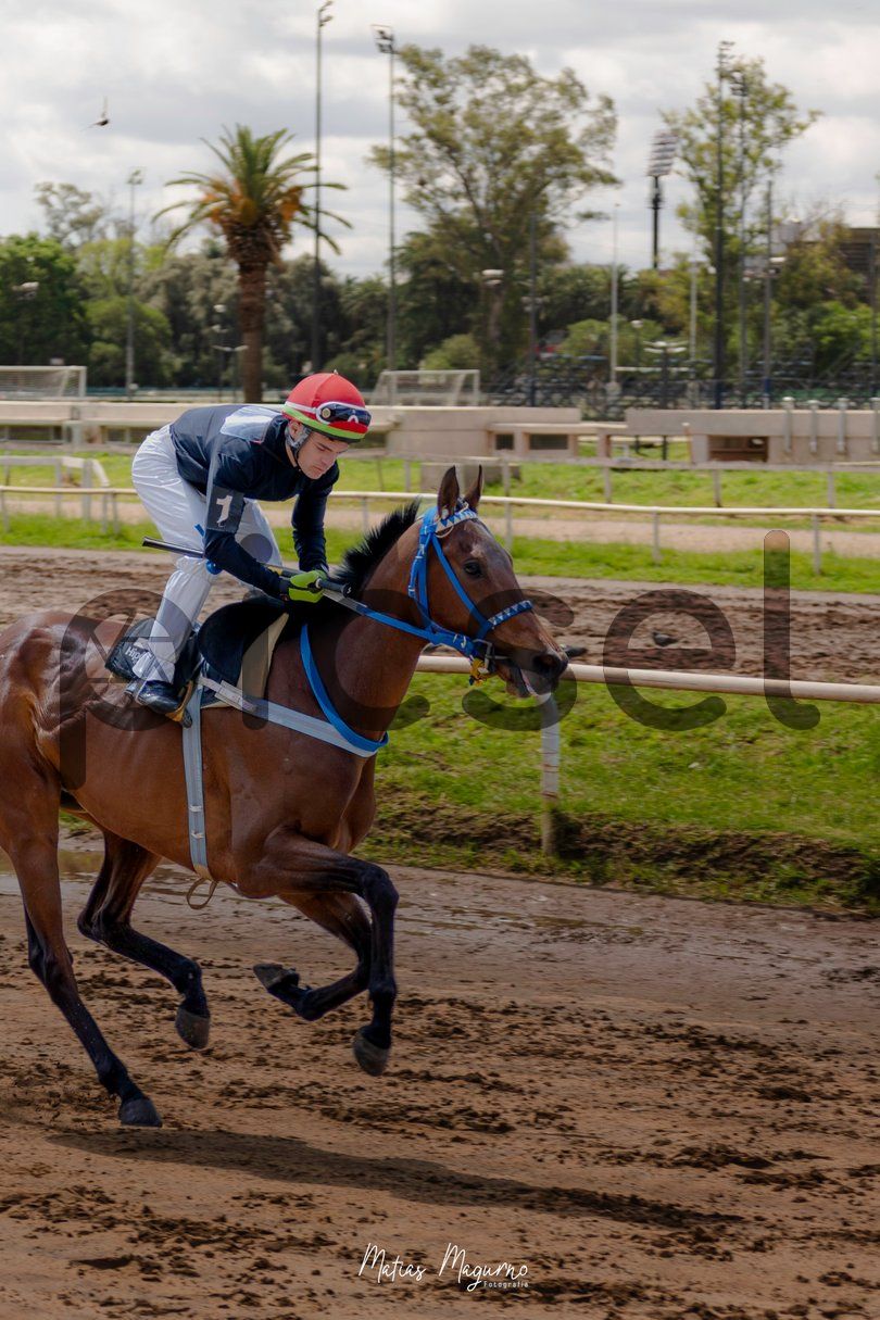 Photo of e7cl44t0w7uoo5yrj0l2ogqe