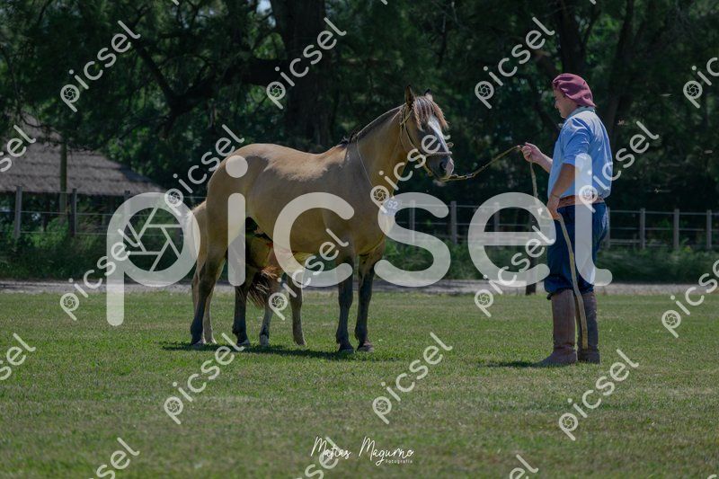 Photo of fvvee4oftbcnv47fslfe8jh3