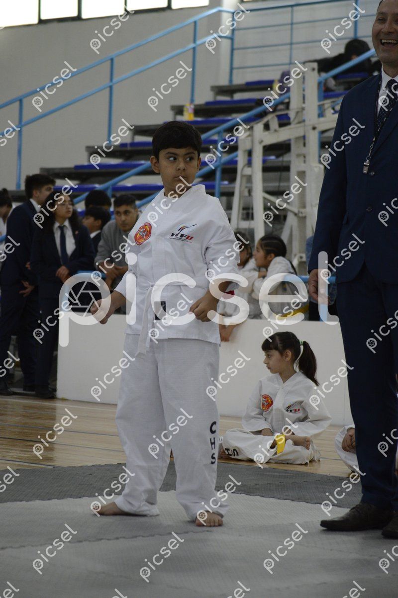 Photo of wumxmfj3504o3q1da1f9p636