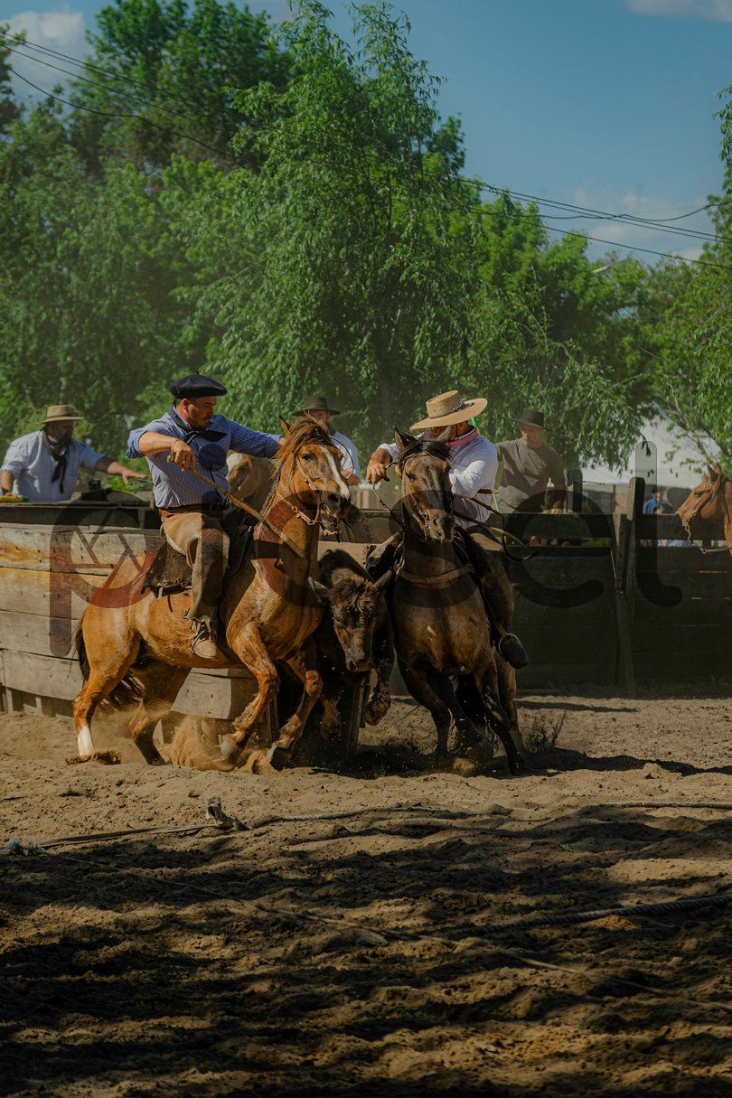 Photo of jv3v2htwdofrvszpurn8jeje