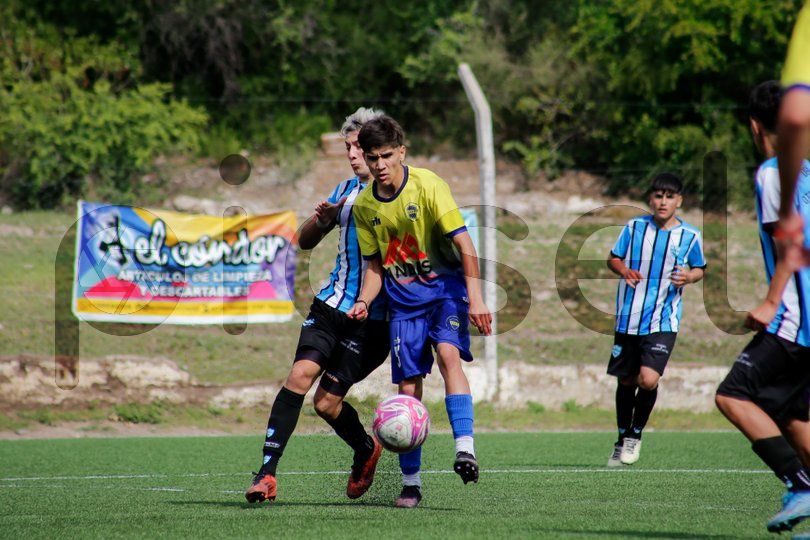 Photo of f799kvzofeq3etzm8zyg5x2d