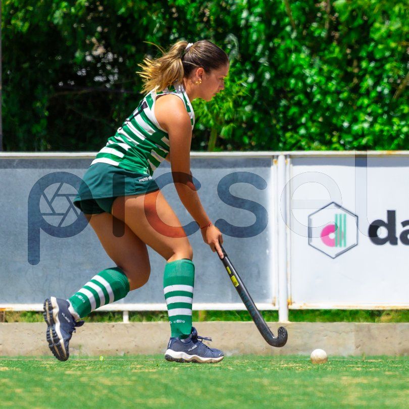 Photo of nf4lmwng70m5qf6aoeztk0mb