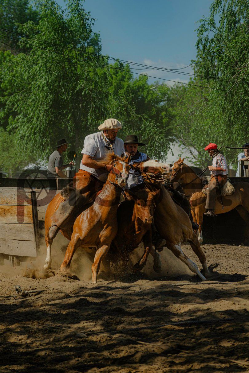 Photo of g4ldg03k3xnj6pwfeohzczg2