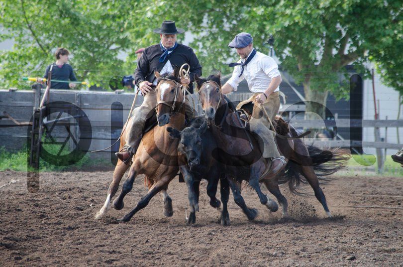 Photo of g1c2ezqxm7d58n43zjyungl5