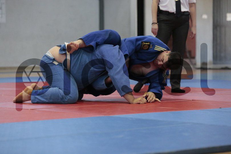 Photo of g0lzlcujoy4e2xlocxxcsgd8