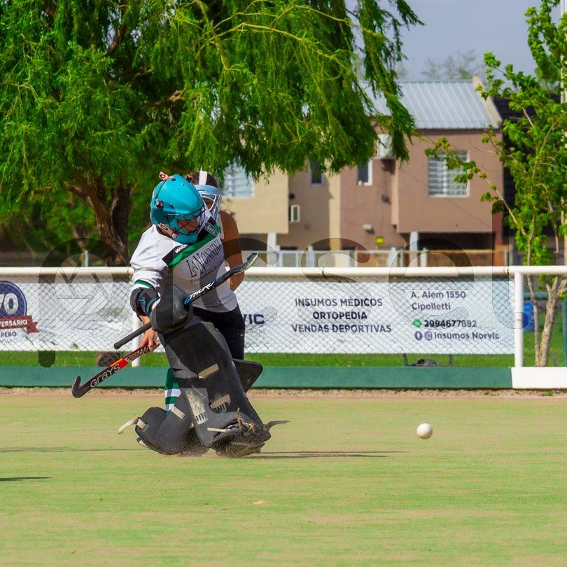 Photo of dlthq87uvosx3ek4ojbhgb8n