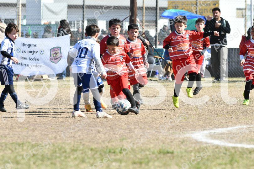 Photo of mk8hzsc9ey67mtgxn5anp3iv