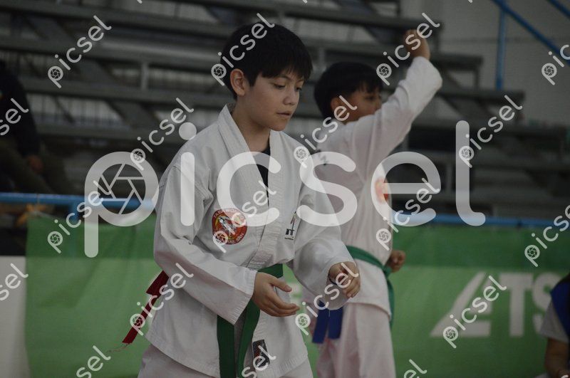 Photo of ay7xvih08j4pxgu6kkmhv7yj