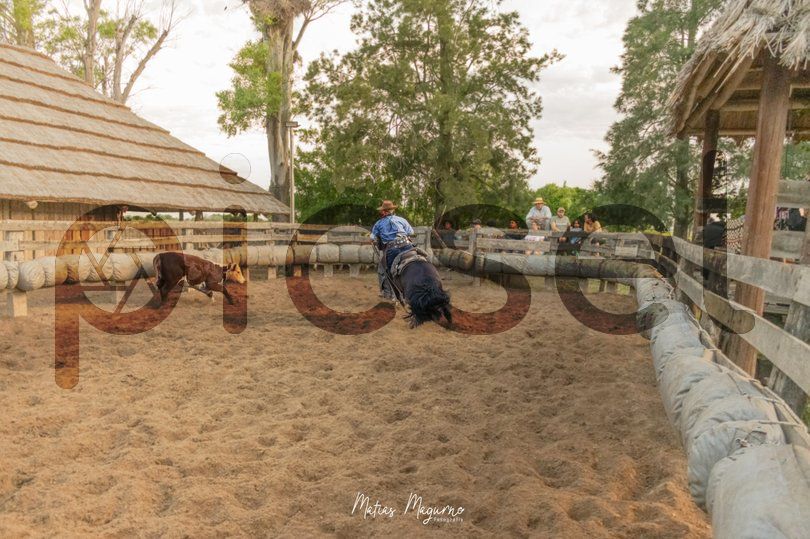 Photo of bwftejjaaj1ygnlq8q320tj2