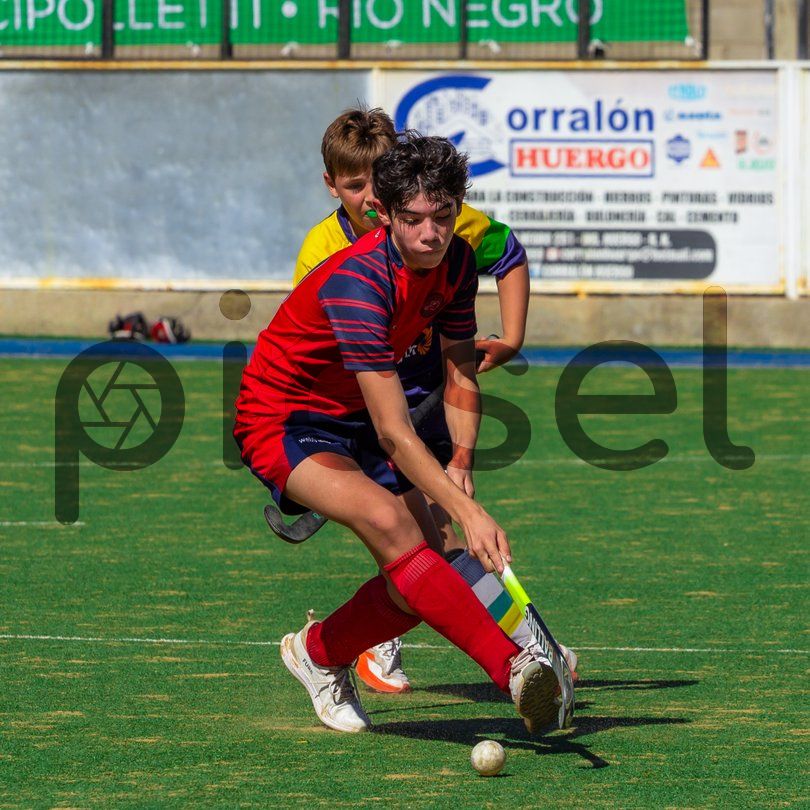 Photo of ys48l0umlgwkad65jdmzuxs9