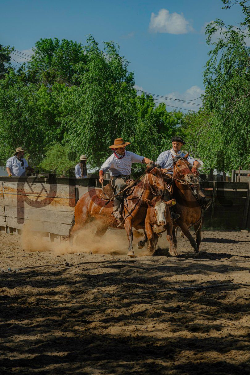 Photo of fo99j0x1dgu3rwlbv7acaan5