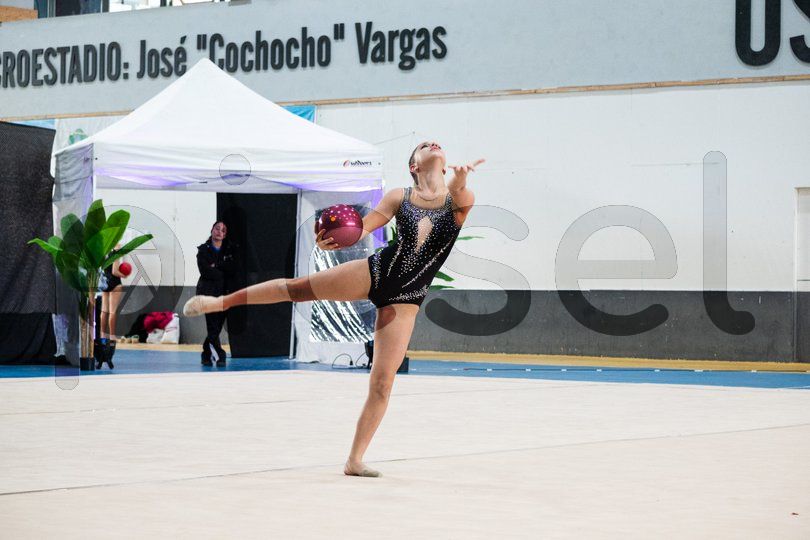 Photo of w4yalunwpze5x1oz3bqphn5t