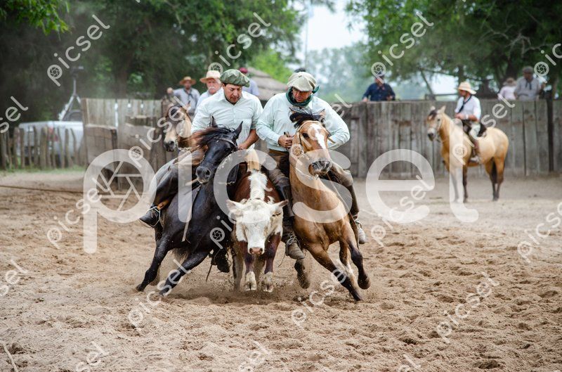 Photo of mwart7v5nkeaidhg9y79kg8x