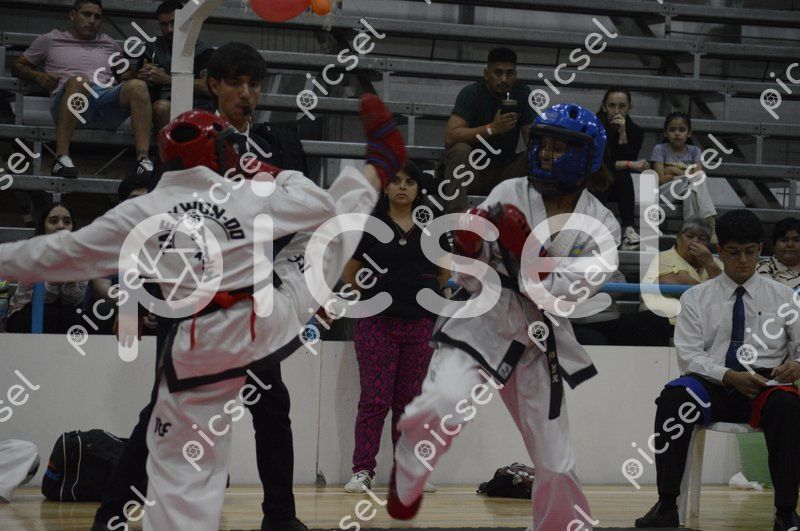 Photo of c5irb7jp12oph3sz6f707wyj