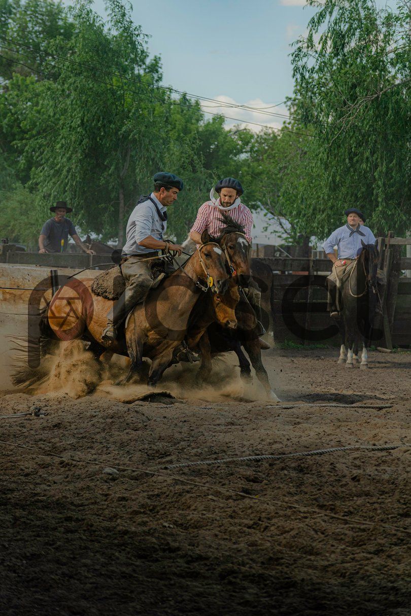 Photo of z4vykfbppo0or7fgwx9cg6n4