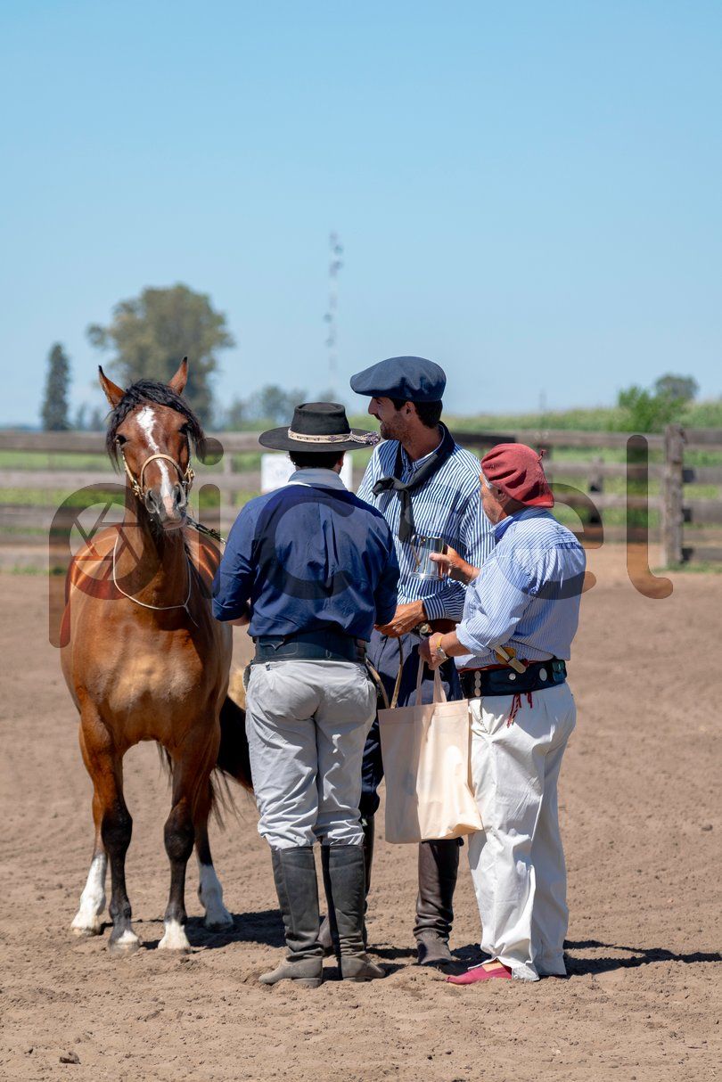 Photo of nqs9gqxqoghcgesxtt5indn0