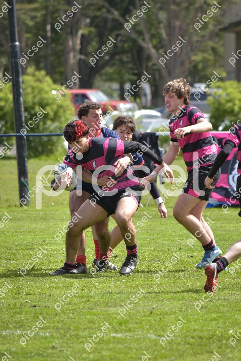 Photo of yw4blrh8im2x8qn0hr0d5sy6