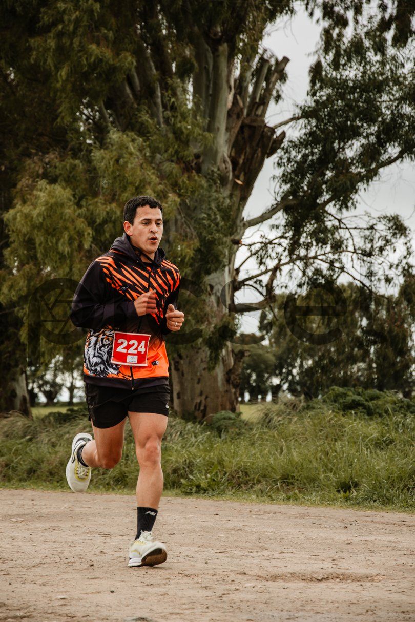 Photo of b0gknj8ms7o5ez9xzzb351ix