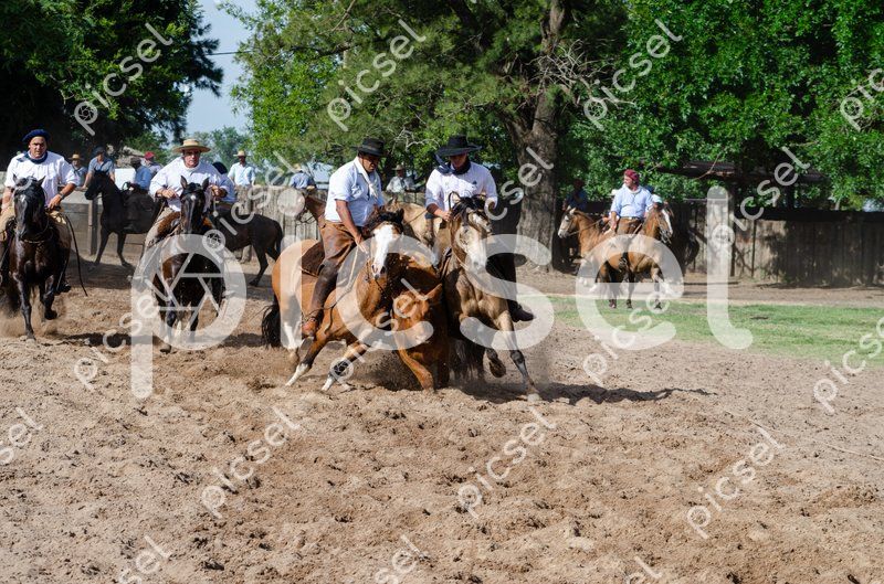 Photo of degadnrcd4xqad5jgj2qh578