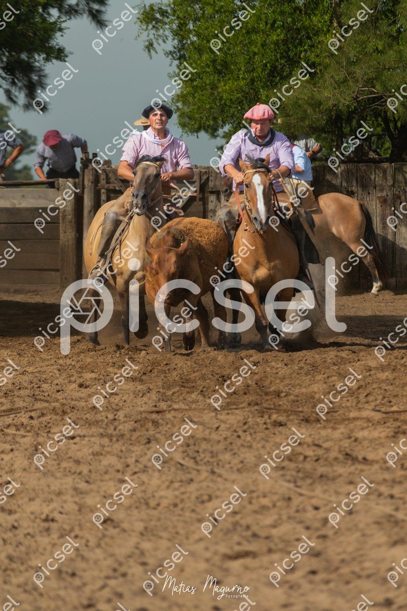 Photo of ymz2kf8ylyq3qwfoerno8j9i