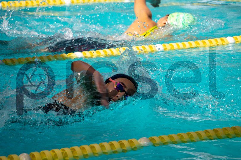 Photo of homniu1dqisv85vb8rvq02pr