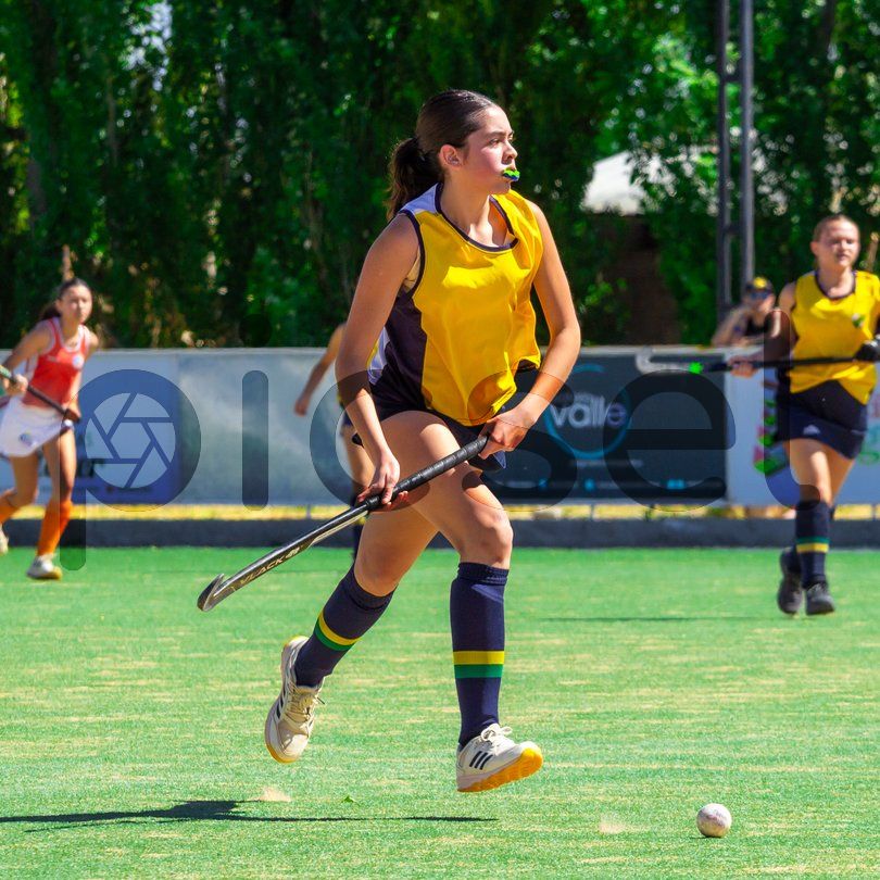 Photo of xb3rruhderhpz7gfaked6ye3