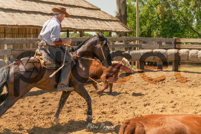 Photo of e8cy7i9cxzyoddmb87fvdcwf