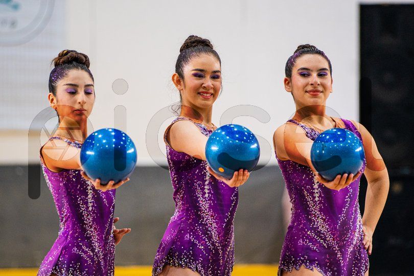 Photo of qy3d9wnesbo1139ofe6u9nm8